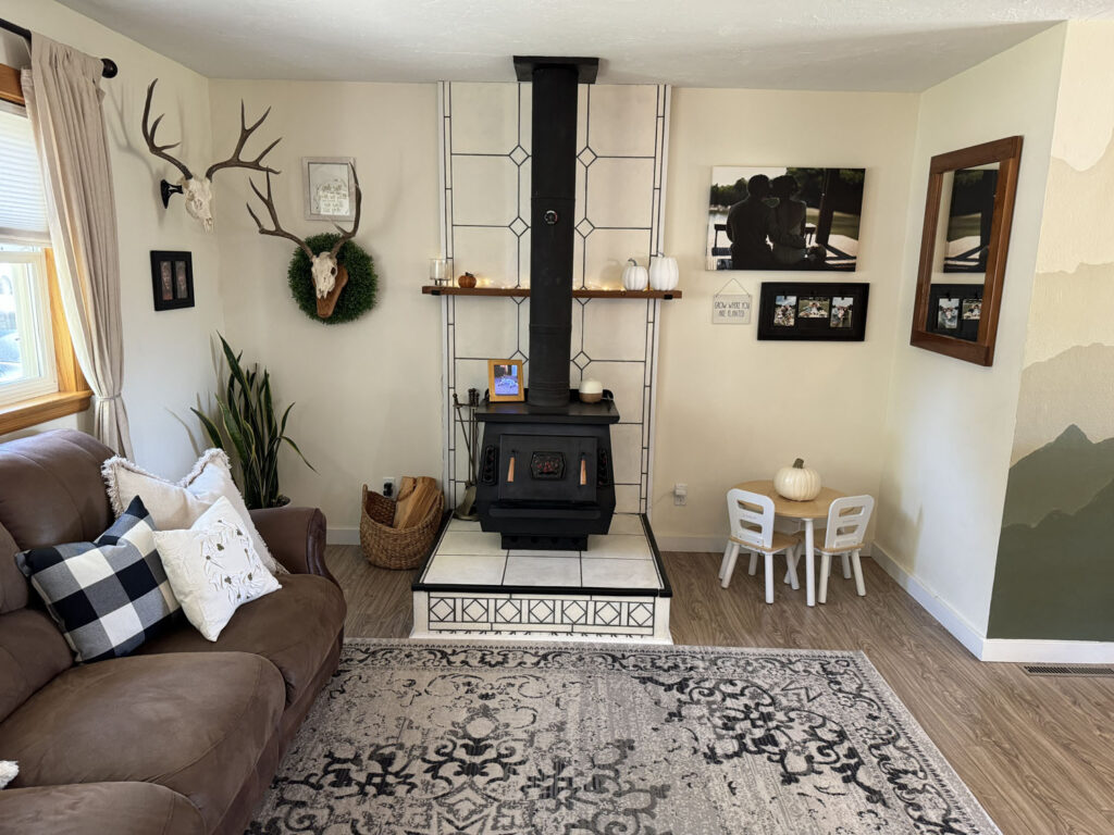 1126 sherry living room stove