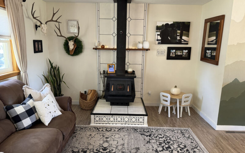 1126 sherry living room stove