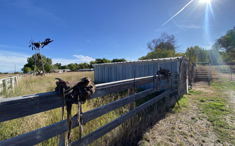 1322 E Webbwood Barn-Pasture