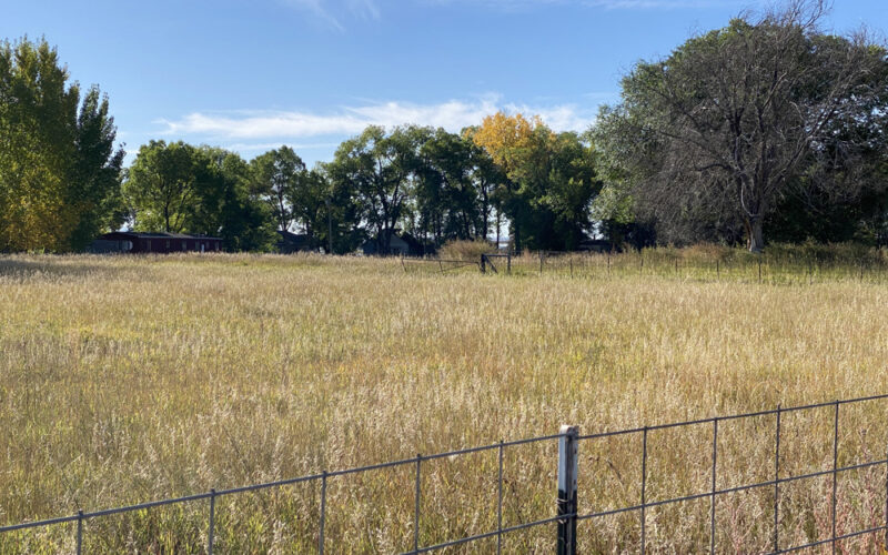 1322 E Webbwood Pasture