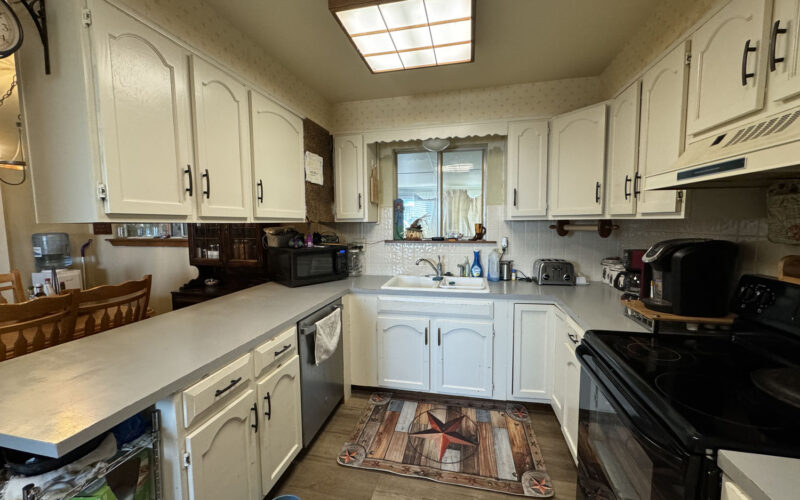 253 e pavillion kitchen 2