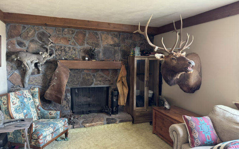 253 e pavillion living room fireplace