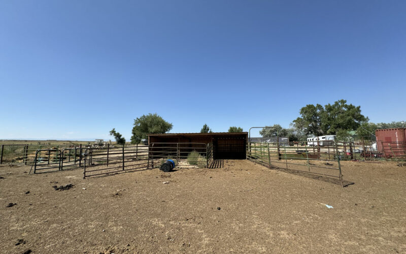 253 e pavillion loafing shed