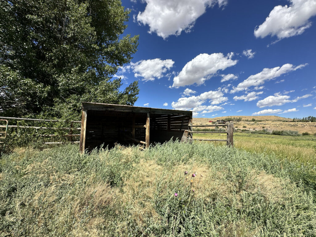 26 meandering loafing shed