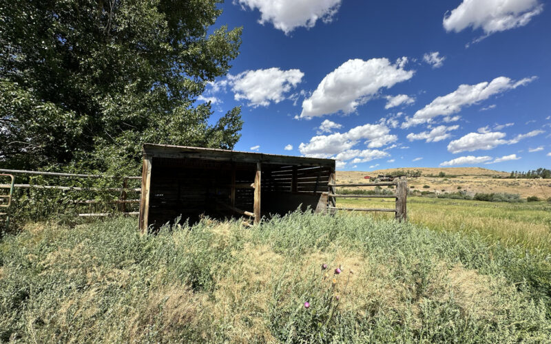 26 meandering loafing shed