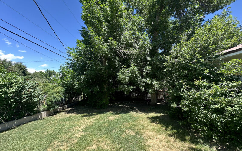 665 Cedar Backyard