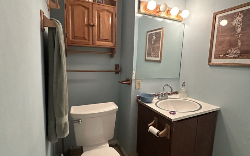 665 Cedar Basement bath