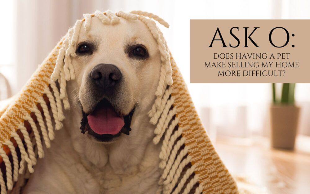 Ask O: Does Having a Pet Make Selling My Home More Difficult?