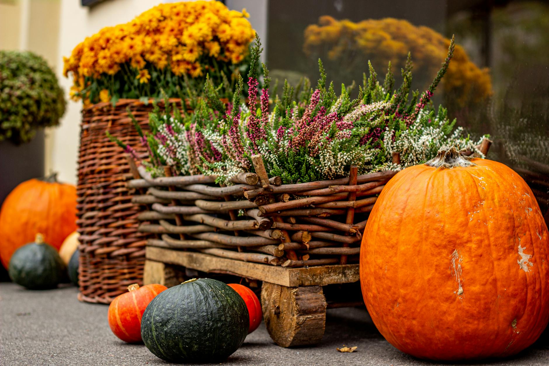 vibrant autumn display with pumpkins and flowers